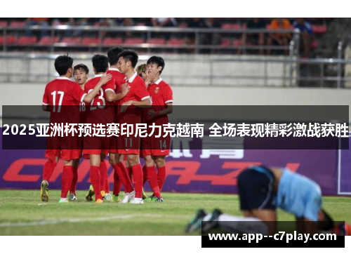 2025亚洲杯预选赛印尼力克越南 全场表现精彩激战获胜 2025亚洲杯预选赛印尼力克越南 全场表现精彩激战获胜