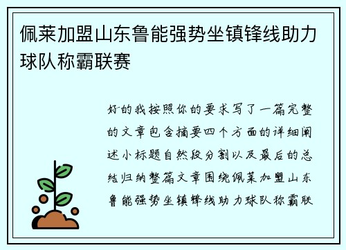 佩莱加盟山东鲁能强势坐镇锋线助力球队称霸联赛